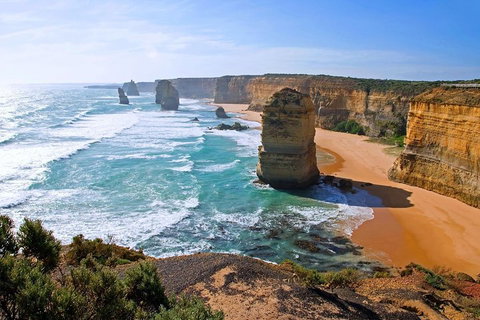 Great Ocean Road Small-Group Ecotour From Melbourne - St Kilda Accommodation 2