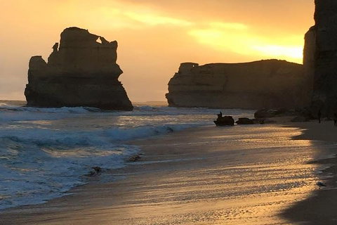 Great Ocean Road Small-Group Ecotour From Melbourne - St Kilda Accommodation 5
