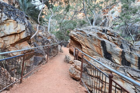West MacDonnell Ranges Half-Day Private Charter Guided Tour - St Kilda Accommodation 0