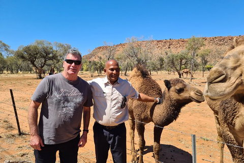 West MacDonnell Ranges Half-Day Small-Group Tour With Camel Ride - St Kilda Accommodation 1
