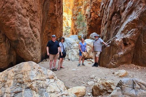 West MacDonnell Ranges Half-Day Small-Group Tour With Camel Ride - St Kilda Accommodation 4