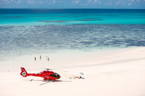 Private Helicopter Tour: Reef Island Snorkeling And Gourmet Picnic Lunch - St Kilda Accommodation 2