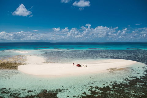 Private Helicopter Tour: Reef Island Snorkeling And Gourmet Picnic Lunch - St Kilda Accommodation 4