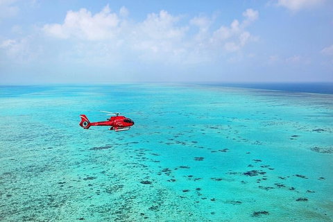 Ultimate Great Barrier Reef And Rainforest 45-minute Helicopter Tour - St Kilda Accommodation 2