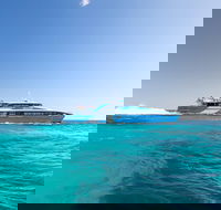 Fremantle to Rottnest Island Roundtrip Ferry Ticket - St Kilda Accommodation