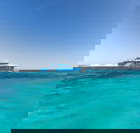 Rottnest Island Fortress Adventure Segway Package from Fremantle - St Kilda Accommodation