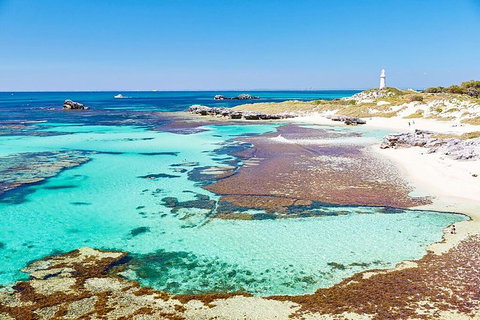 Perth To Rottnest Island Roundtrip Ferry Ticket - St Kilda Accommodation 2