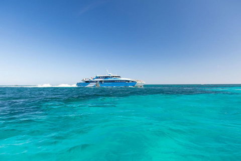 Rottnest Island Bayseeker Day Trip From Perth - St Kilda Accommodation 0