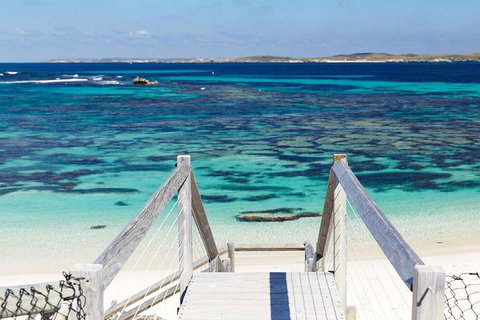 Rottnest Island Bayseeker Day Trip From Perth - St Kilda Accommodation 3