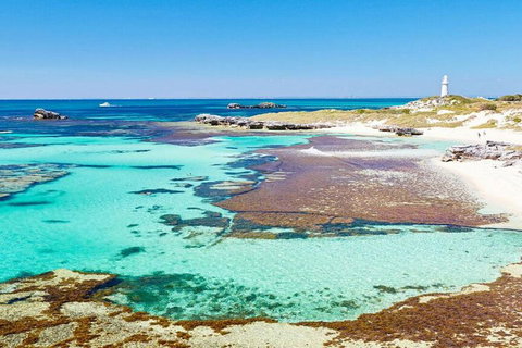 Rottnest Island Bayseeker Day Trip From Perth - St Kilda Accommodation 4