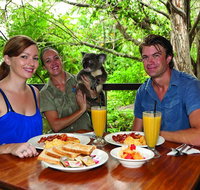 Breakfast with the Koalas at Hartley's Crocodile Park from Cairns or Palm Cove - St Kilda Accommodation