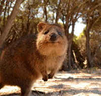 Wave Rock  Rottnest Island - Air  Ground Tour - St Kilda Accommodation