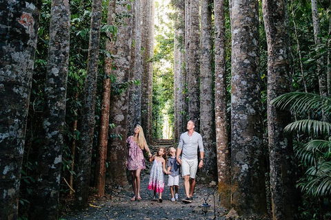 The Original Day Tour To Paronella Park, Lake Barrine And Millaa Millaa Falls - St Kilda Accommodation 1