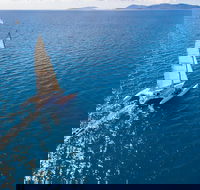 2-Night Whitsunday Islands Sailing Adventure on Trimaran Avatar - St Kilda Accommodation