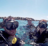 Wave Break Island Scuba Diving on the Gold Coast - St Kilda Accommodation