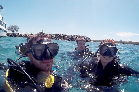 Wave Break Island Scuba Diving On The Gold Coast - St Kilda Accommodation 0