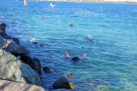 Wave Break Island Scuba Diving On The Gold Coast - St Kilda Accommodation 1