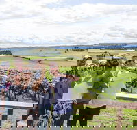 Private Tour of Melbourne - St Kilda Accommodation