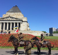 Private Half Day Melbourne City Tour with Local guide - St Kilda Accommodation