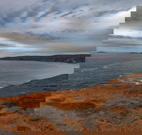 Kangaroo Island Luxury Small Group 'Flinders Chase Focus' Full Day Tour - St Kilda Accommodation