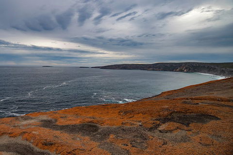 Kangaroo Island Luxury Small Group 'Flinders Chase Focus' Full Day Tour - St Kilda Accommodation 0