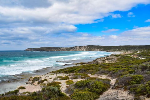 Kangaroo Island Luxury Small Group 'East End Explorer' Full Day Tour - St Kilda Accommodation 0