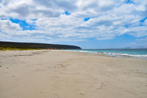 Kangaroo Island Luxury Small Group 'East End Explorer' Full Day Tour - St Kilda Accommodation 3