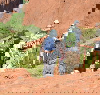 Afternoon Kata Tjuta Small Group Tour - St Kilda Accommodation