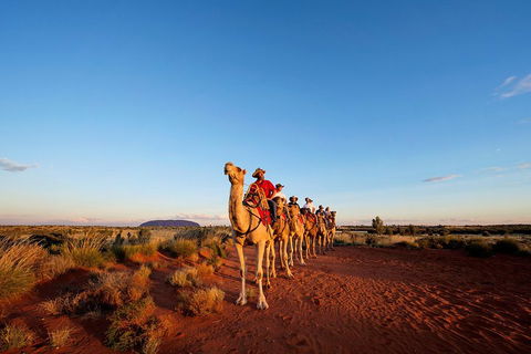 Uluru Small-Group Tour By Camel At Sunrise Or Sunset - St Kilda Accommodation 3