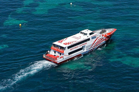 Discover Rottnest With Ferry & Bus Tour From Perth Or Fremantle - St Kilda Accommodation 3