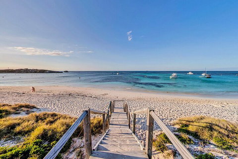 Discover Rottnest With Ferry & Bus Tour From Perth Or Fremantle - St Kilda Accommodation 4