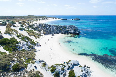 Discover Rottnest With Ferry & Bus Tour From Perth Or Fremantle - St Kilda Accommodation 5