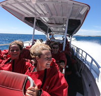 Adventure Rottnest Tour with Ferry  Adventure Cruise from Perth or Fremantle - St Kilda Accommodation
