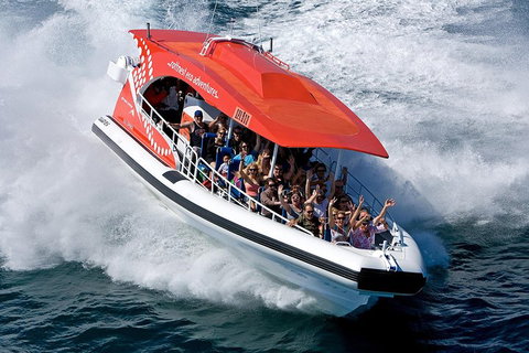 Adventure Rottnest Tour With Ferry & Adventure Cruise From Perth Or Fremantle - St Kilda Accommodation 2