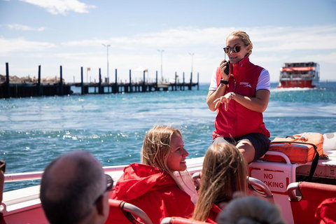 Adventure Rottnest Tour With Ferry & Adventure Cruise From Perth Or Fremantle - St Kilda Accommodation 4