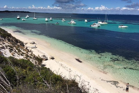 Experience Rottnest With Ferry & Bike Hire From Perth Or Fremantle - St Kilda Accommodation 0