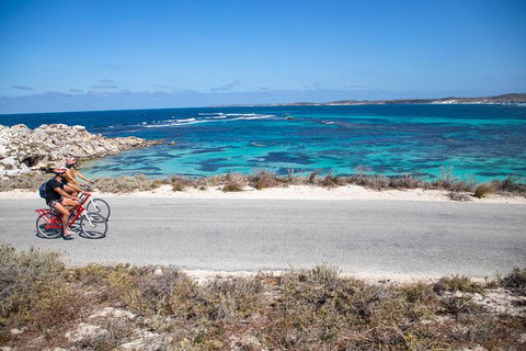 Experience Rottnest With Ferry & Bike Hire From Perth Or Fremantle - St Kilda Accommodation 2