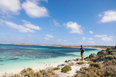 Experience Rottnest With Ferry & Bike Hire From Perth Or Fremantle - St Kilda Accommodation 3