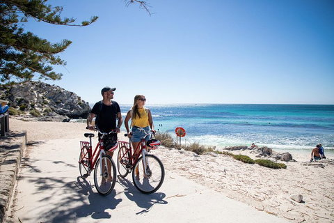 Experience Rottnest With Ferry & Bike Hire From Perth Or Fremantle - St Kilda Accommodation 4