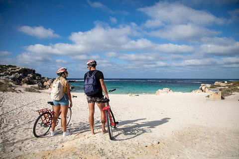 Experience Rottnest With Ferry & Bike Hire From Perth Or Fremantle - St Kilda Accommodation 5