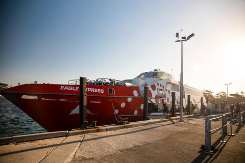 Rottnest Island Round-Trip Ferry From Perth Or Fremantle - St Kilda Accommodation 2