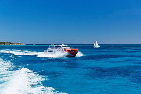 Rottnest Island Round-Trip Ferry From Perth Or Fremantle - St Kilda Accommodation 4
