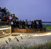 2-Day Great Ocean Road Mornington Peninsula and Phillip Island Tour - St Kilda Accommodation
