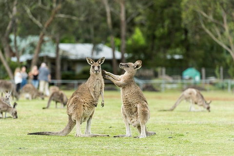 2-Day Great Ocean Road And Grampians Tour From Melbourne - St Kilda Accommodation 4