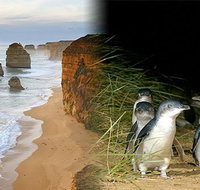 Melbourne Super Saver Great Ocean Road  Phillip Island  Attraction Pass - St Kilda Accommodation