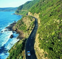 Melbourne Super Saver Great Ocean Road  Mornington Peninsula  attraction pass - St Kilda Accommodation