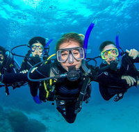 Great Barrier Reef Diving and Snorkeling Cruise from Cairns - St Kilda Accommodation