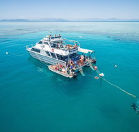 Ocean Freedom Great Barrier Reef Personal Luxury Snorkel  Dive Cruise Cairns - St Kilda Accommodation