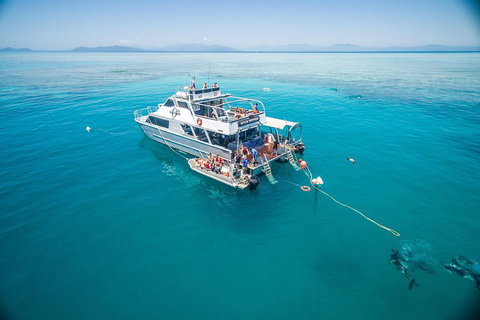 Ocean Freedom Great Barrier Reef Personal Luxury Snorkel & Dive Cruise, Cairns - St Kilda Accommodation 0
