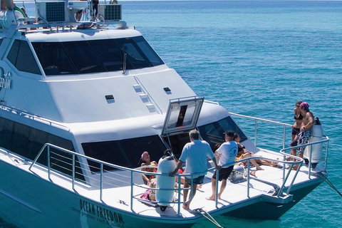 Ocean Freedom Great Barrier Reef Personal Luxury Snorkel & Dive Cruise, Cairns - St Kilda Accommodation 1